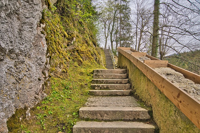 Free Stairs Increase In photo and picture