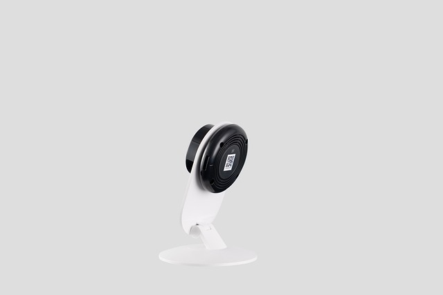 Free Camera Monitor photo and picture