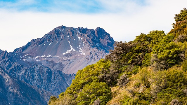 Free Fox Glacier New Zealand photo and picture