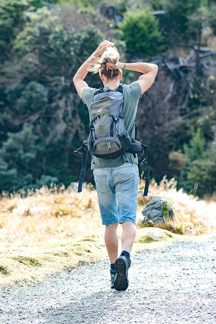 Free Hiking New Zealand photo and picture