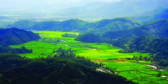 Free Rice Fields Nature photo and picture