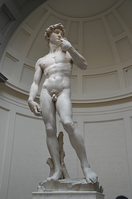Free Statue Of David Michelangelo photo and picture