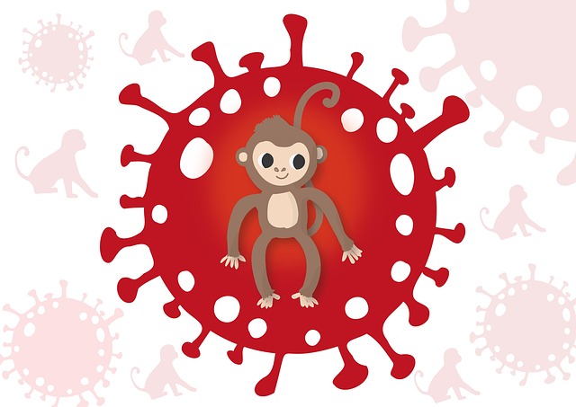 Free Monkeypox Smallpox illustration and picture