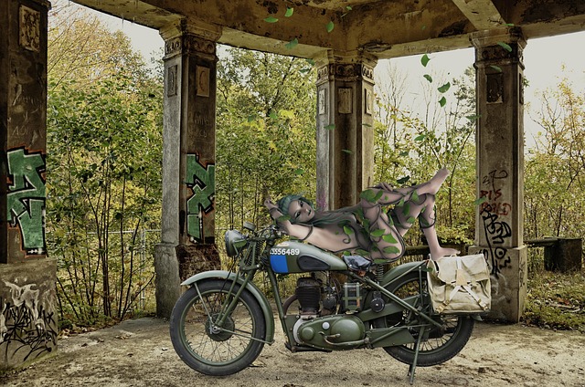 Free ruins motorcycle nature illustration