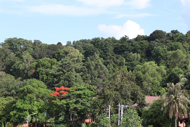 Free Scenery Sky photo and picture