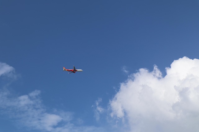 Free Aircraft Sky photo and picture