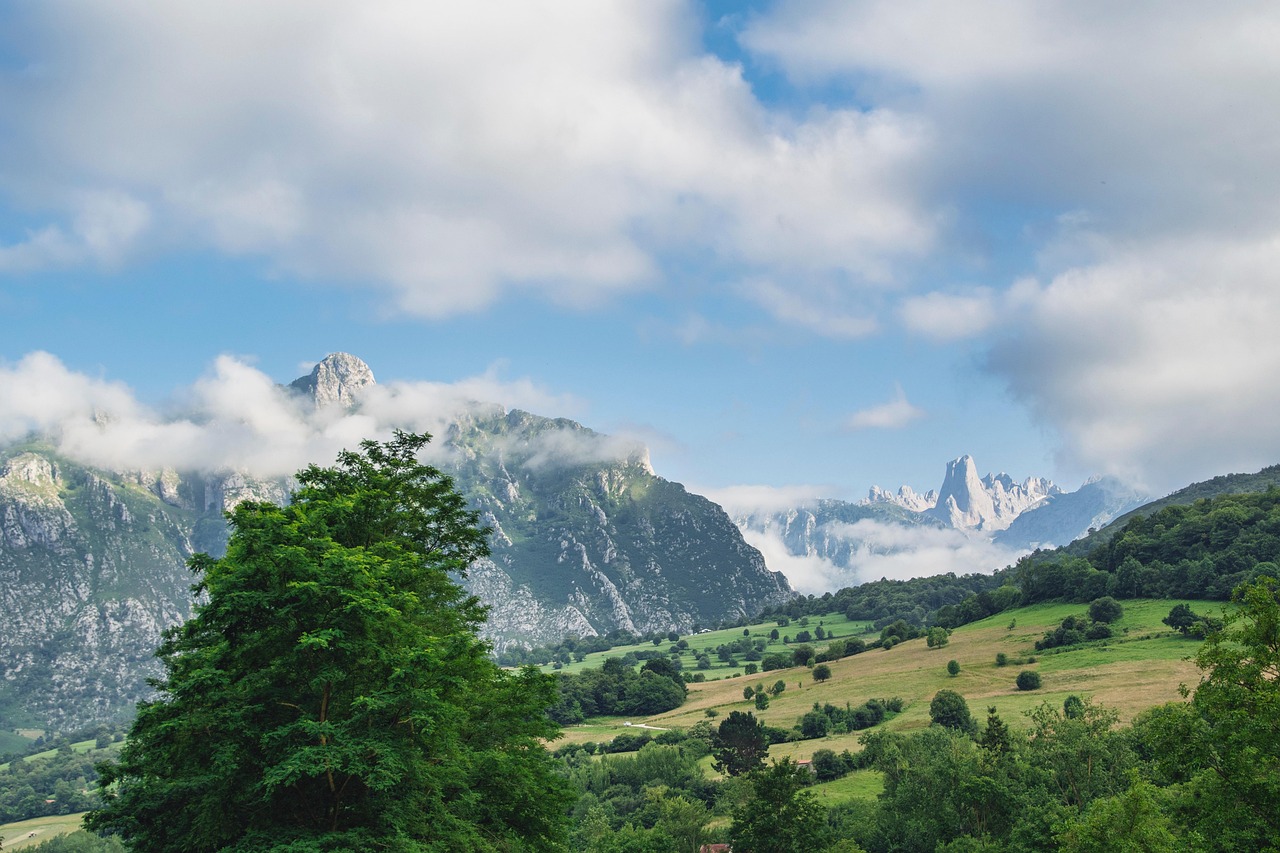 산 구름 목초지 - Pixabay의 무료 사진 - Pixabay