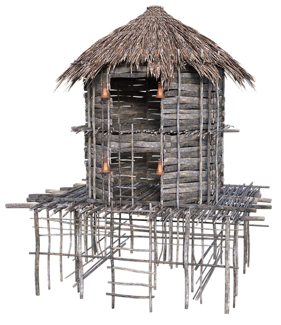 Free dwelling woodhouse timber construction illustration
