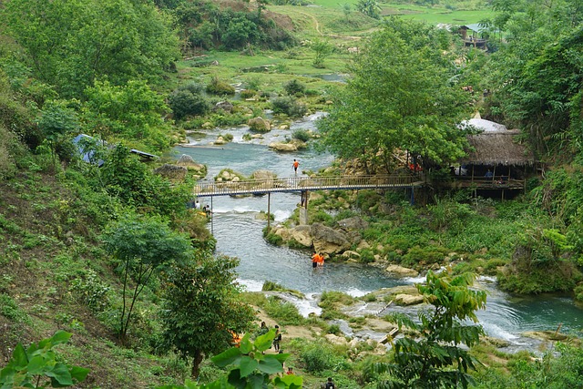 Free Vietnam Country photo and picture