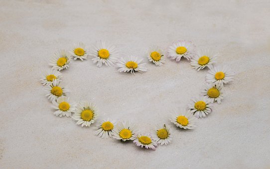 Happy Mothers Day, Heart, Daisy
