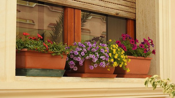 Free Balcony House photo and picture
