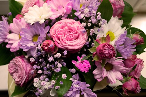 Цветы, Цветок, Flowers