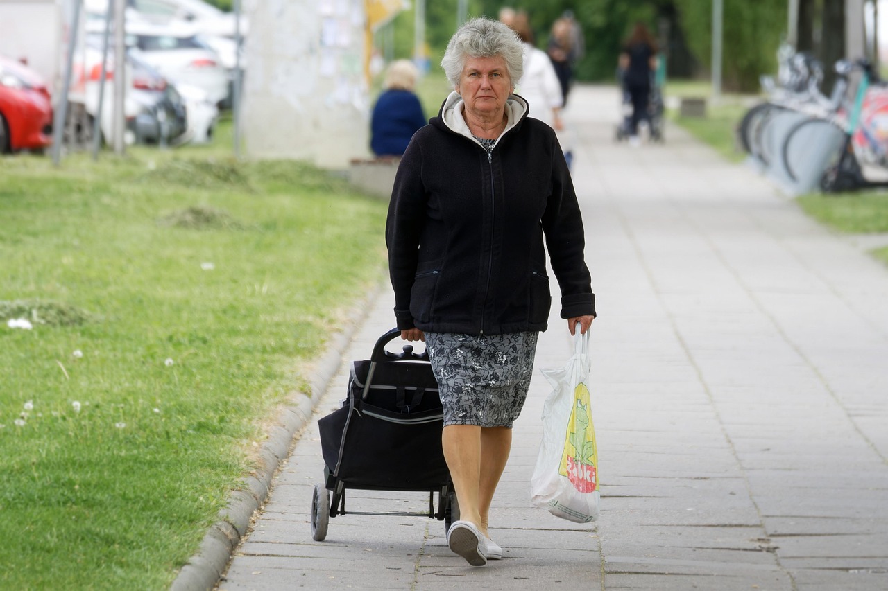 woman, adult, elderly, shopping cart, get, going, alley, residential, people, urban