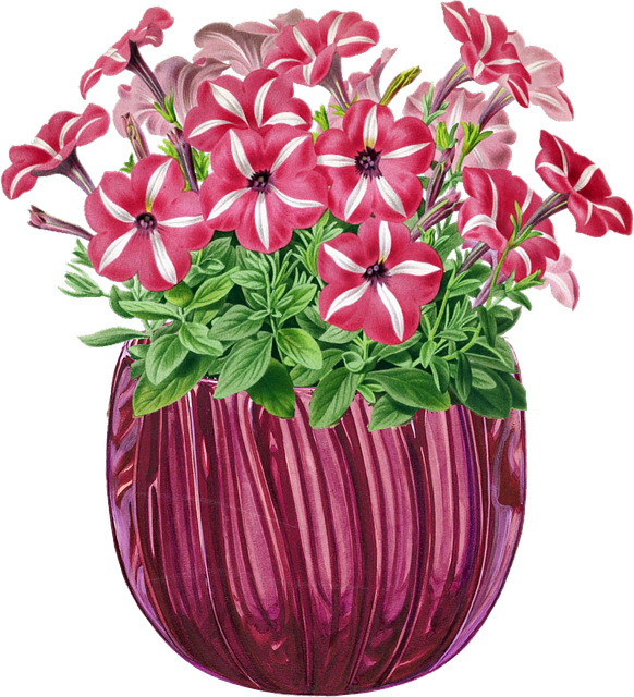 Free flowers glass vase illustration