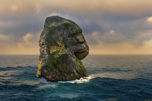 Gorilla, Island, Natur, Sammensatte, Hav
