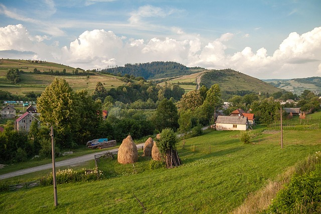 Carpathians, ukraine, mountains and nature — photo by Zephyrka