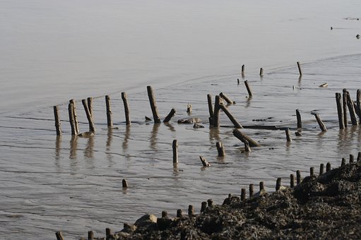 Wattové Mora, Severné More, Pláž, More