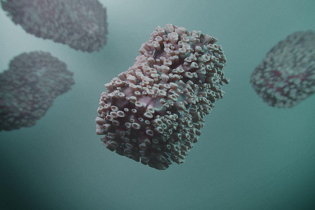 Free Monkeypox Monkeypox Virus photo and picture