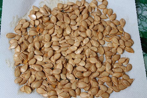 Free Seeds Pumpkin photo and picture