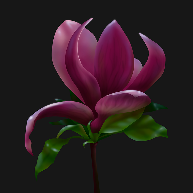Free Flower Nature illustration and picture