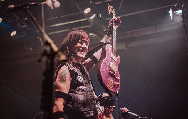 Sanger, Koncert, Guitarist