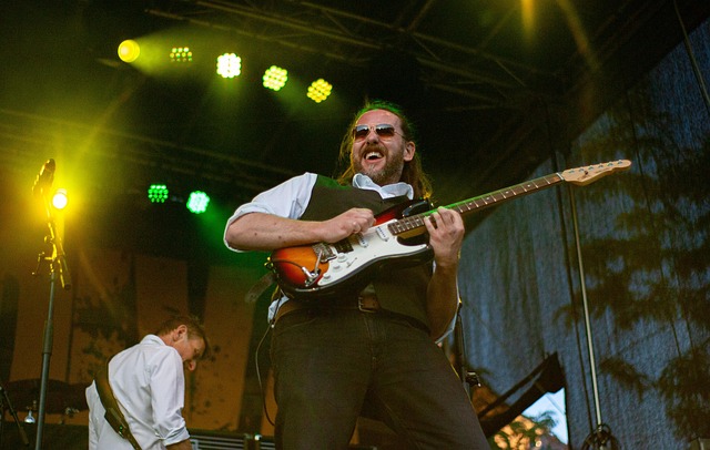 Sänger, Konzert, Gitarrist
