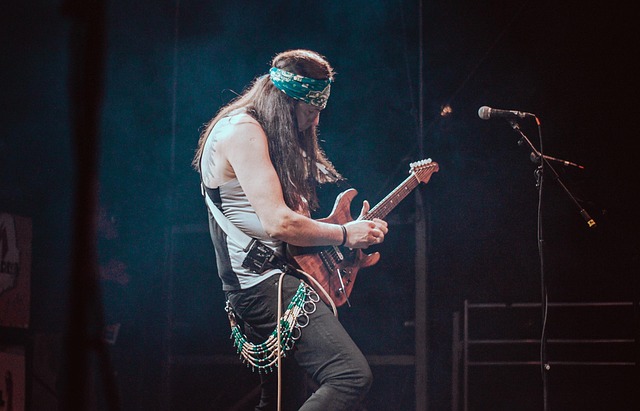 Sanger, Koncert, Guitarist
