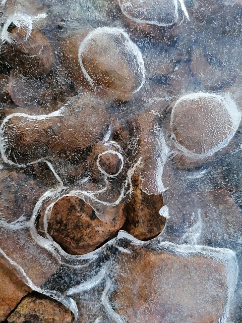 Free Winter Ice photo and picture