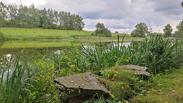Free Landscape Lake photo and picture