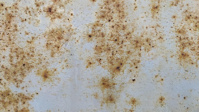 Free Texture Old photo and picture