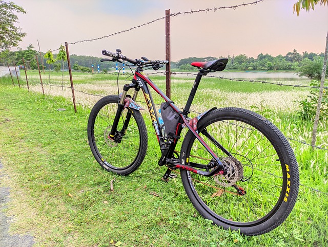 Natürlich, Mtb, Kreislauf