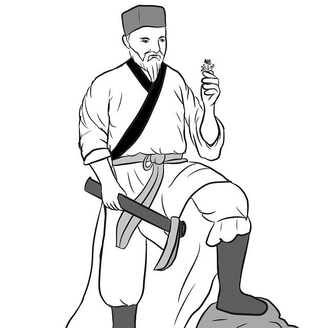 Chinesische Medizin, Traditionelle, Arzt