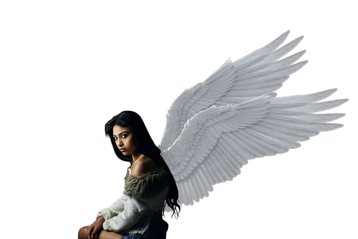 fbartondavis-pixabay