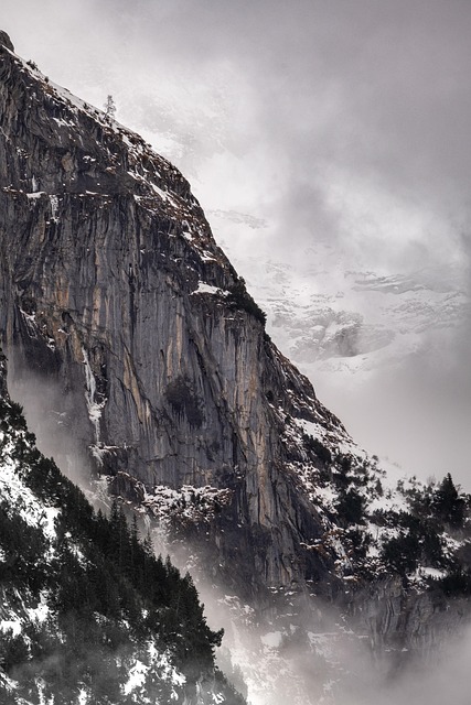 Bjerge, Schweiz, Alperne, Natur