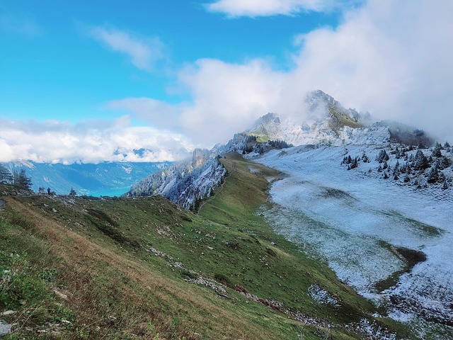 Free Schynige Platte Mountains photo and picture