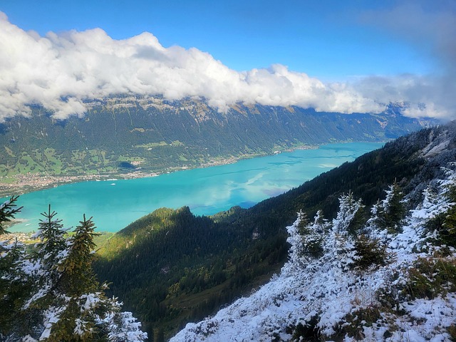 Free Schynige Platte Mountain photo and picture