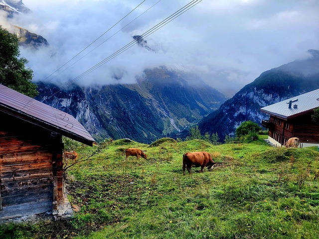 Free Gimmelwald Switzerland photo and picture