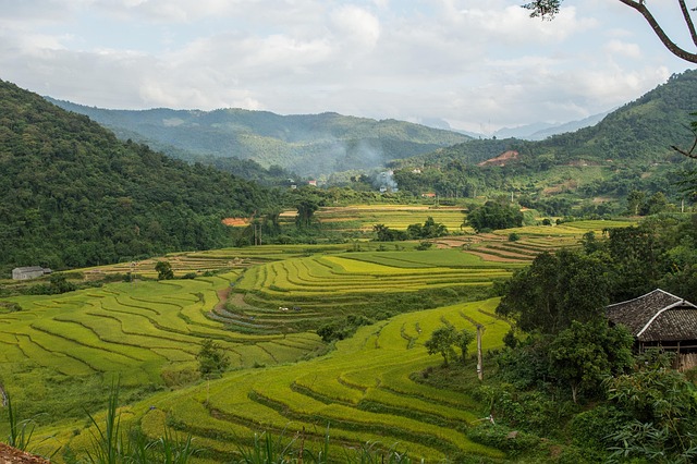 Free Bao Lac Rice Terraces photo and picture