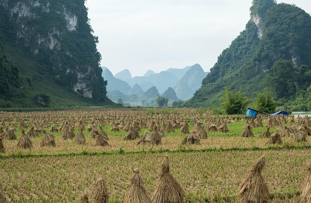 Free Vietnam Mountains photo and picture