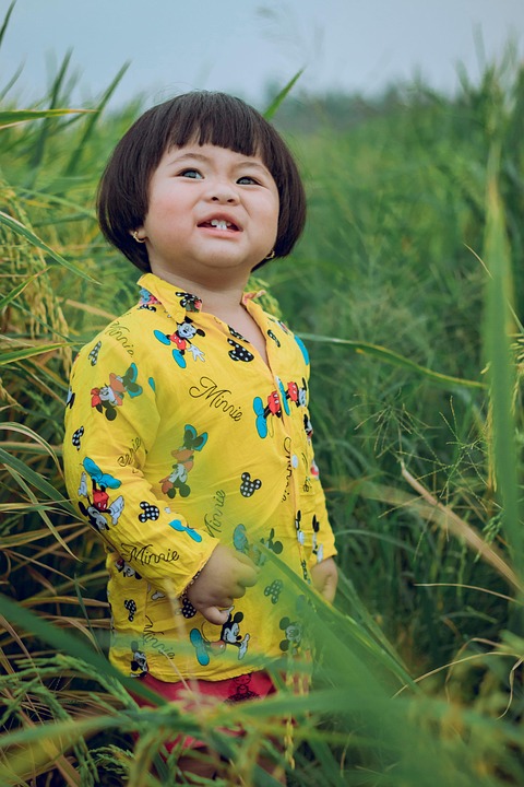 Toddler Child Rice Field Paddy - Free photo on Pixabay