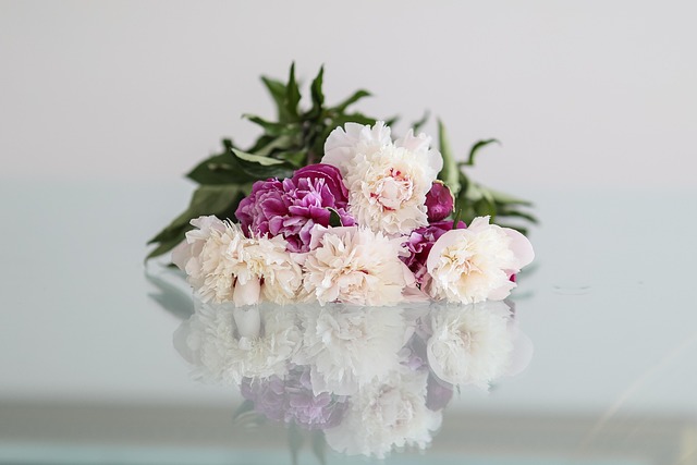 Free Peonies Beautiful Flowers photo and picture