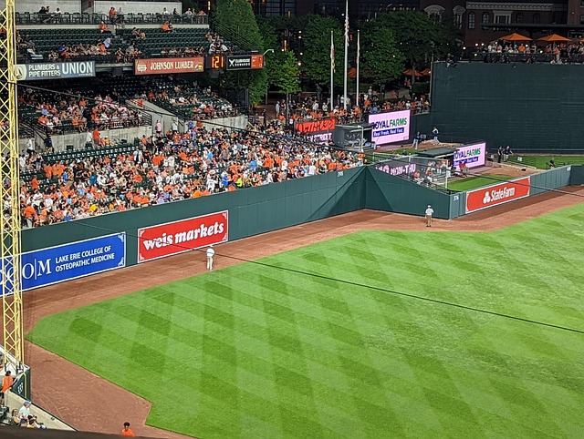 Free Baseball Orioles photo and picture