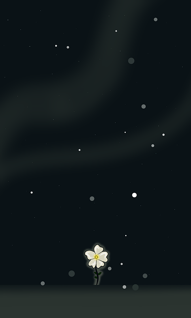 Blume, Nacht, Dunkel, Sterne, Scheinen