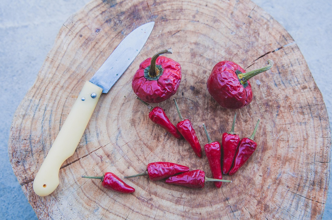 Spanish Pepper Red Peppers Dried Free photo on Pixabay Pixabay