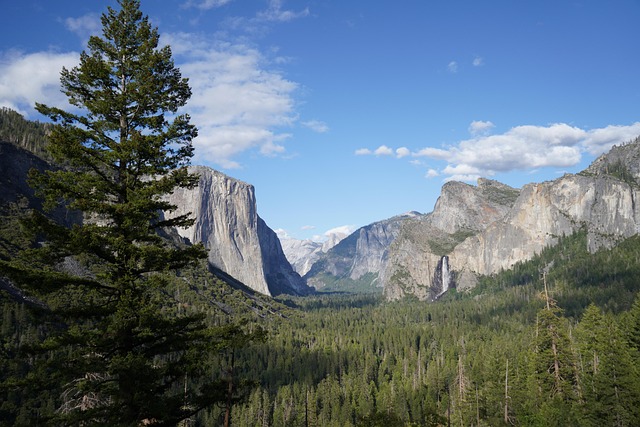 Free Yosemite National Park Mountain photo and picture