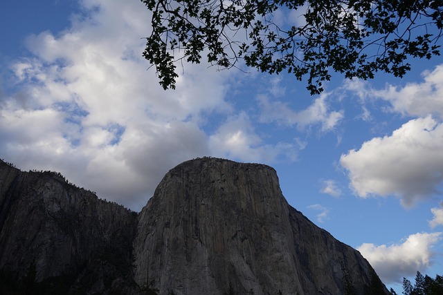 Free Yosemite A National Park photo and picture
