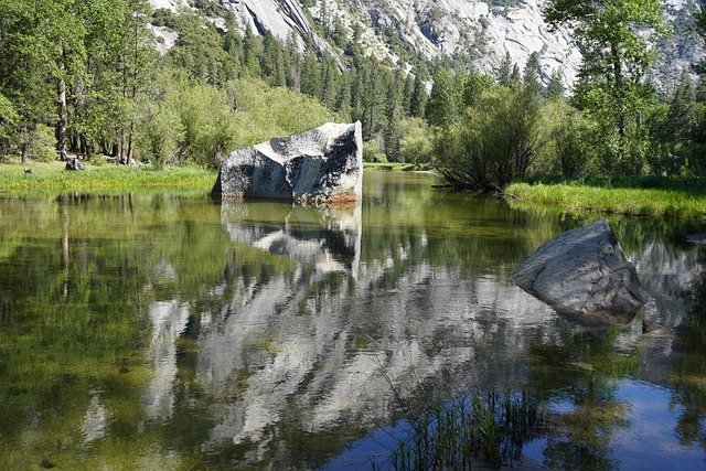 Free Yosemite A National Park photo and picture