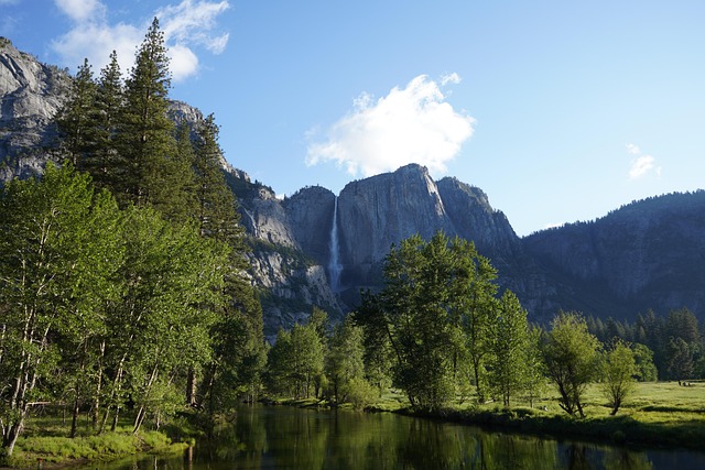 Free River Yosemite National Park photo and picture