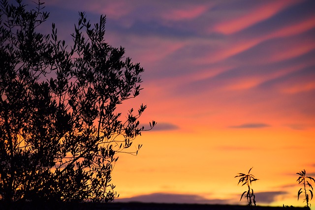 Sunrise, Aurora, Zonsondergang