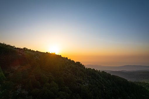 Západ Slunce, Slunce, Forrest, Stromy